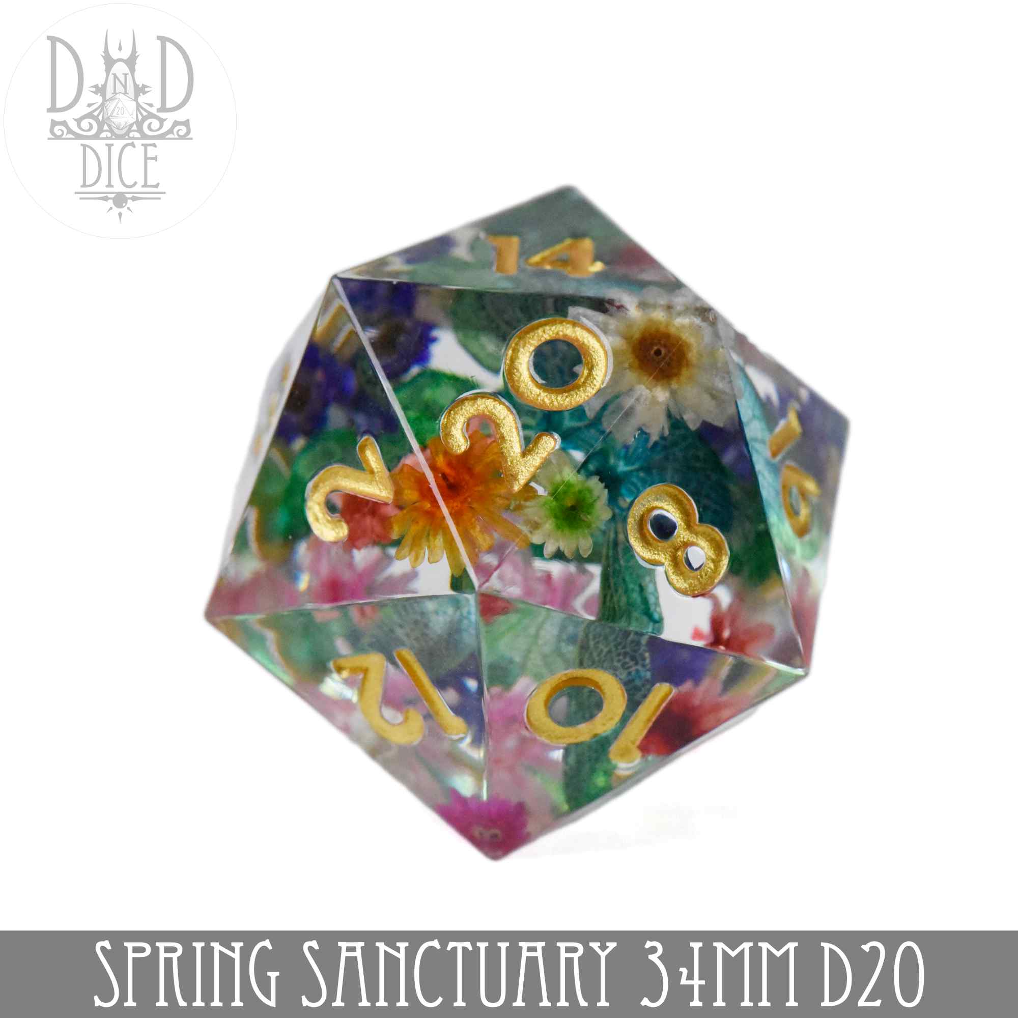 34mm D20 Spring Sanctuary