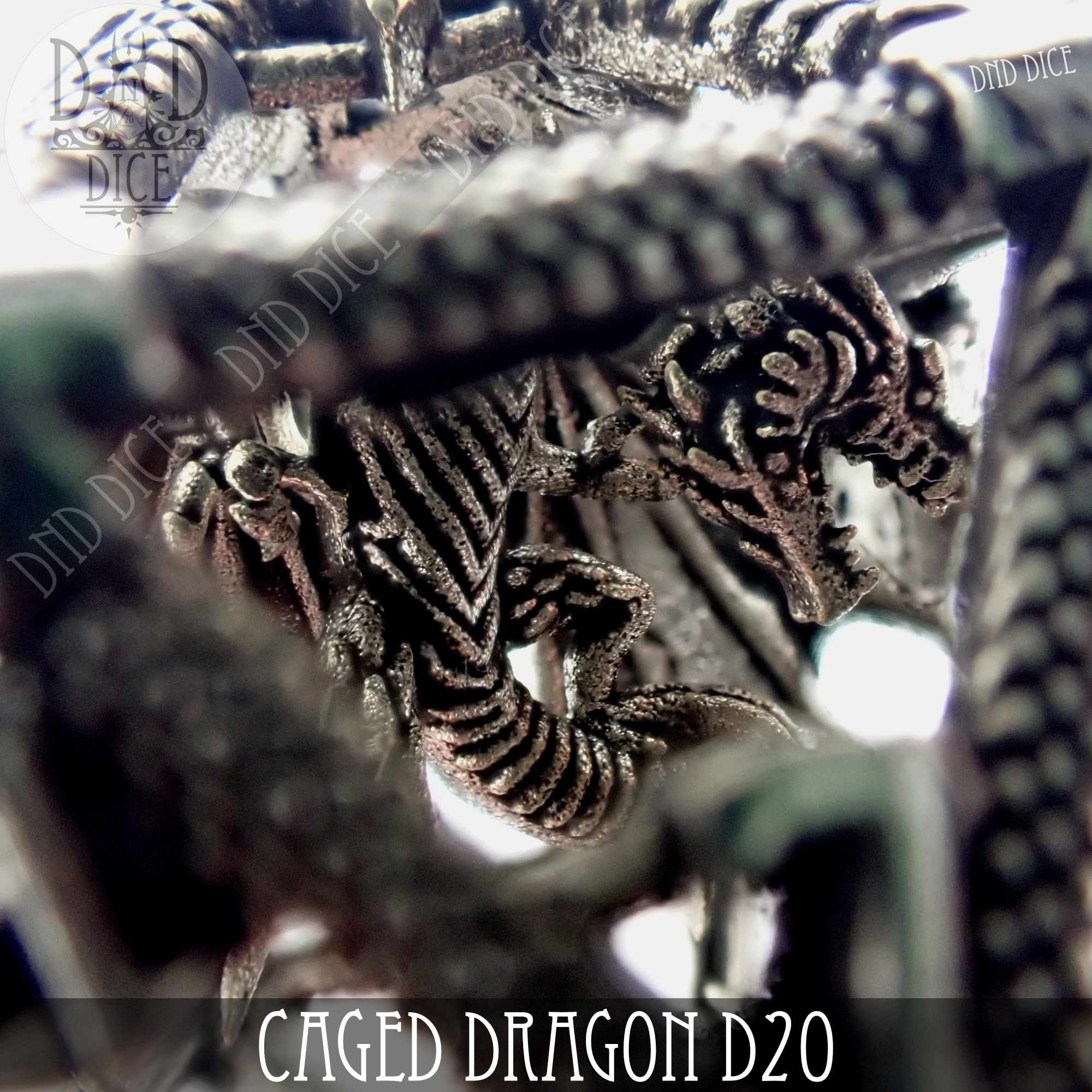 Caged Dragon D20 - 6 Colors