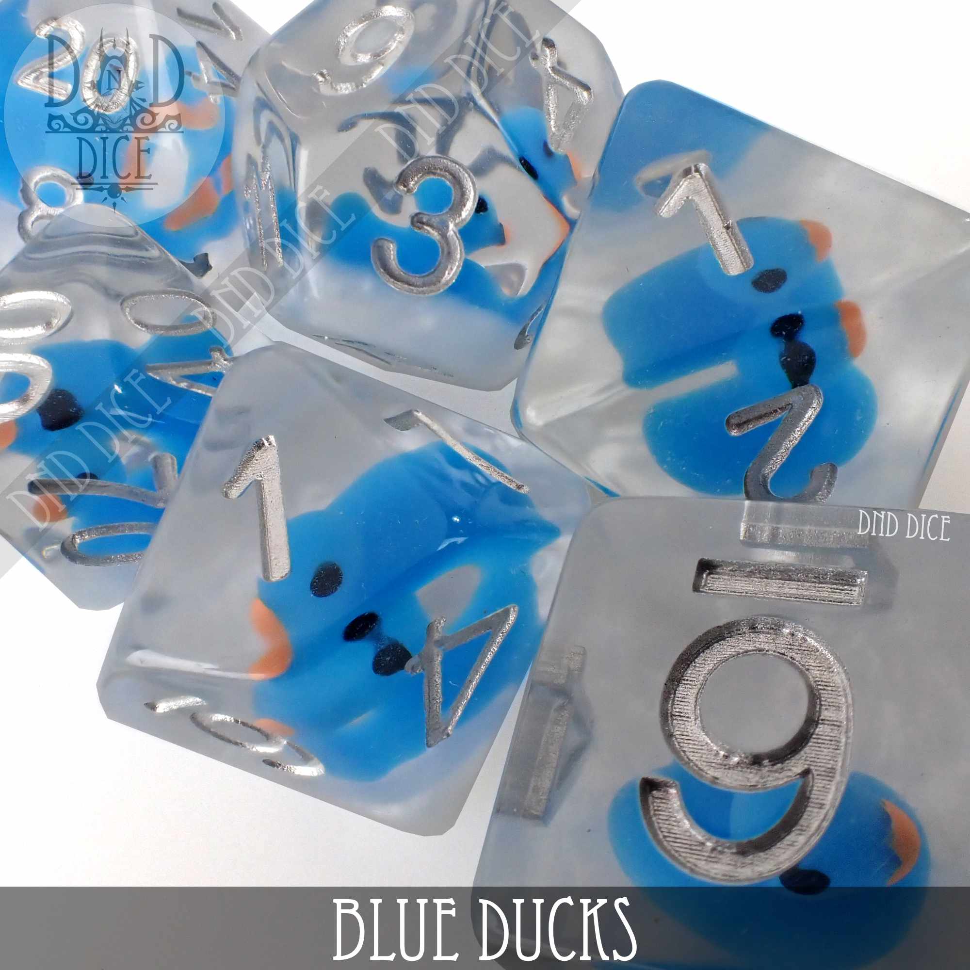 Blue Ducks