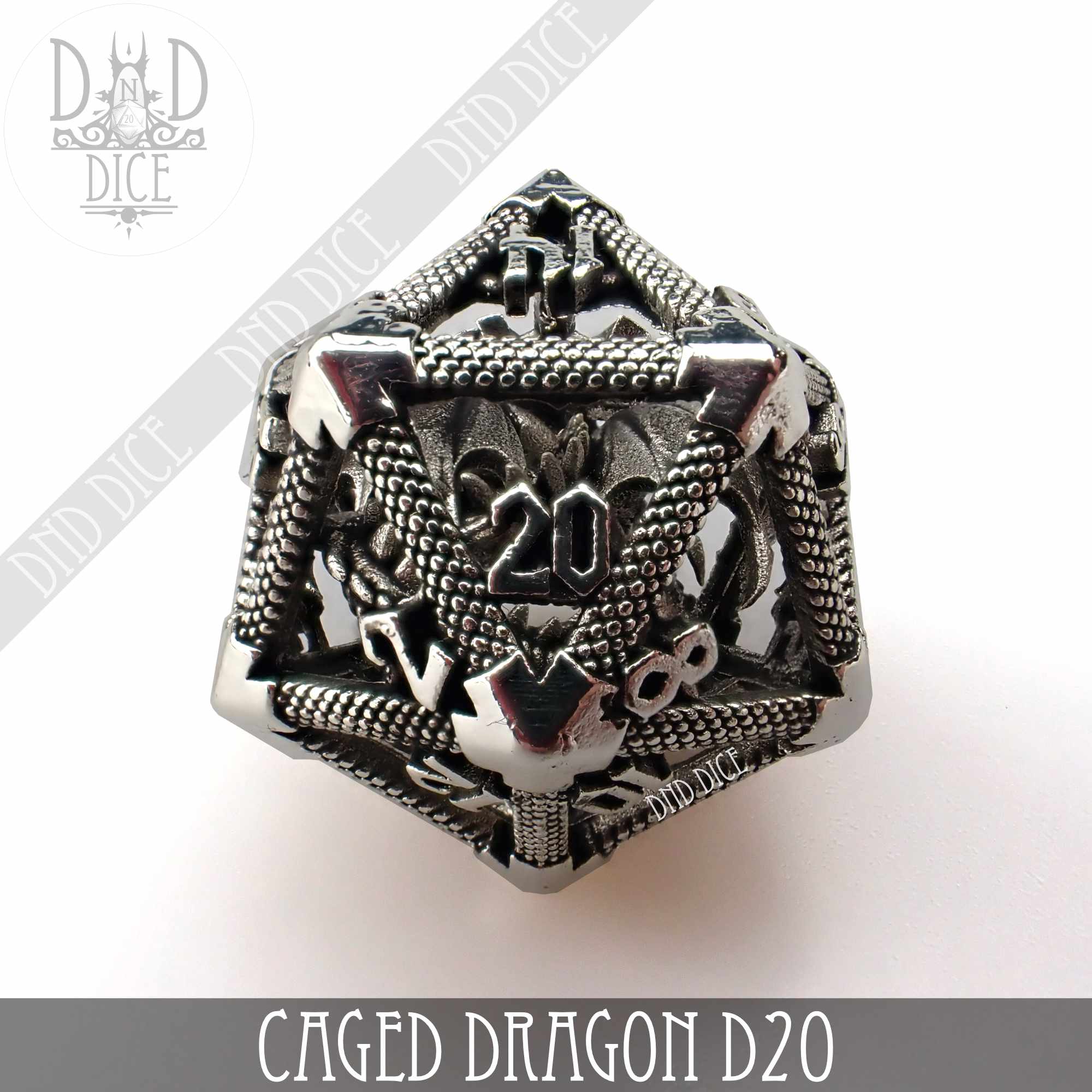 Caged Dragon D20 - 6 Colors