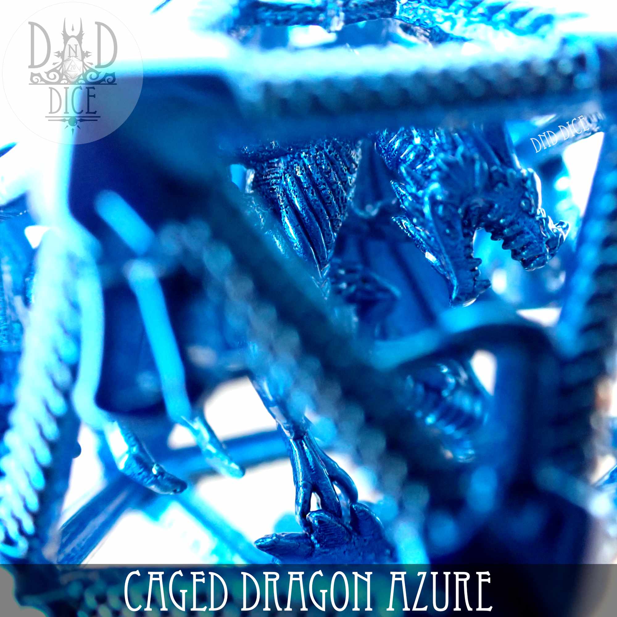 Caged Dragon D20 - 6 Colors