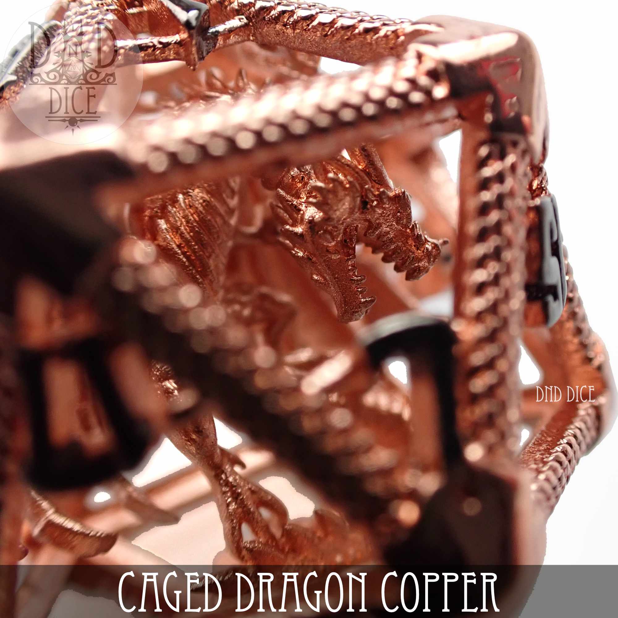 Caged Dragon D20 - 6 Colors