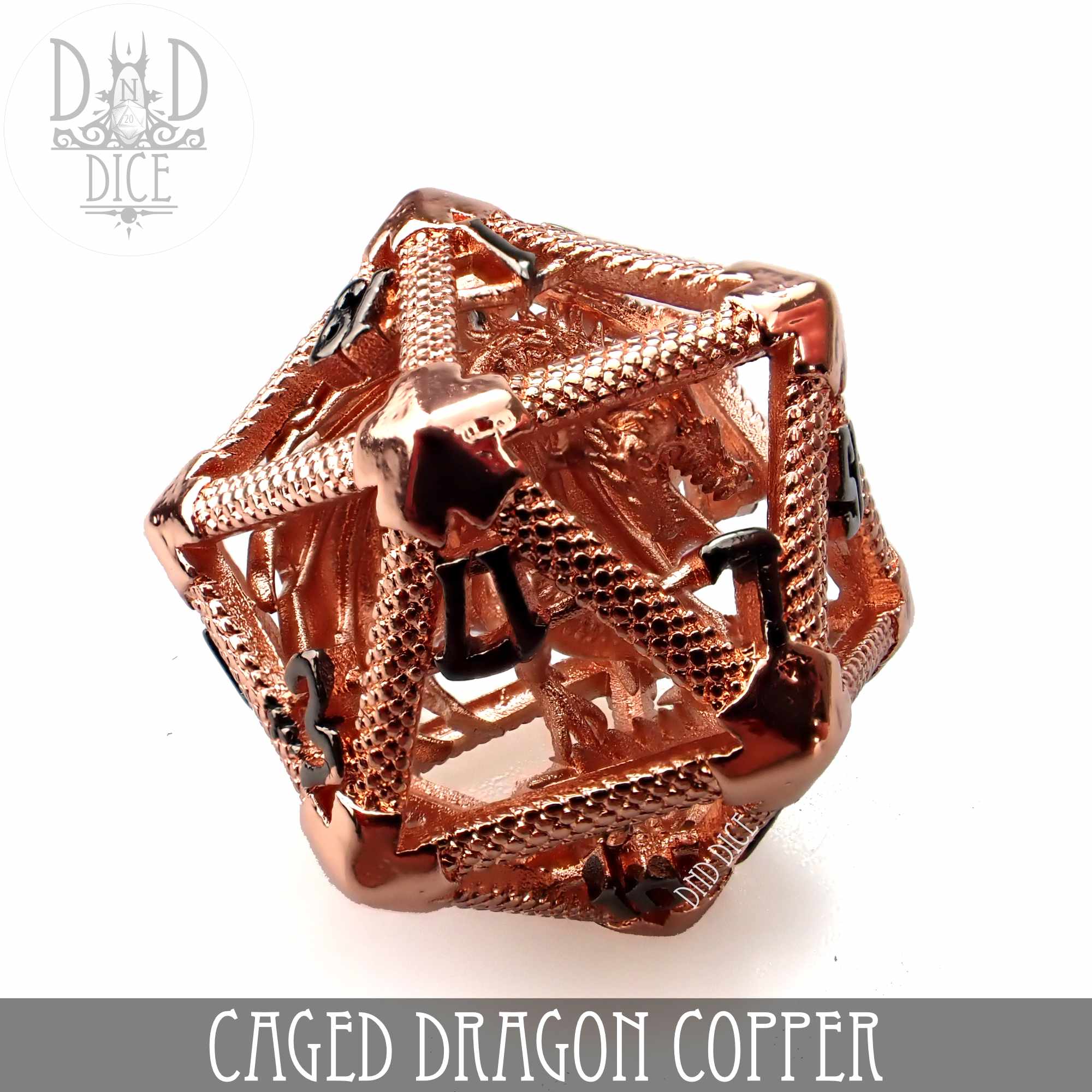 Caged Dragon D20 - 6 Colors