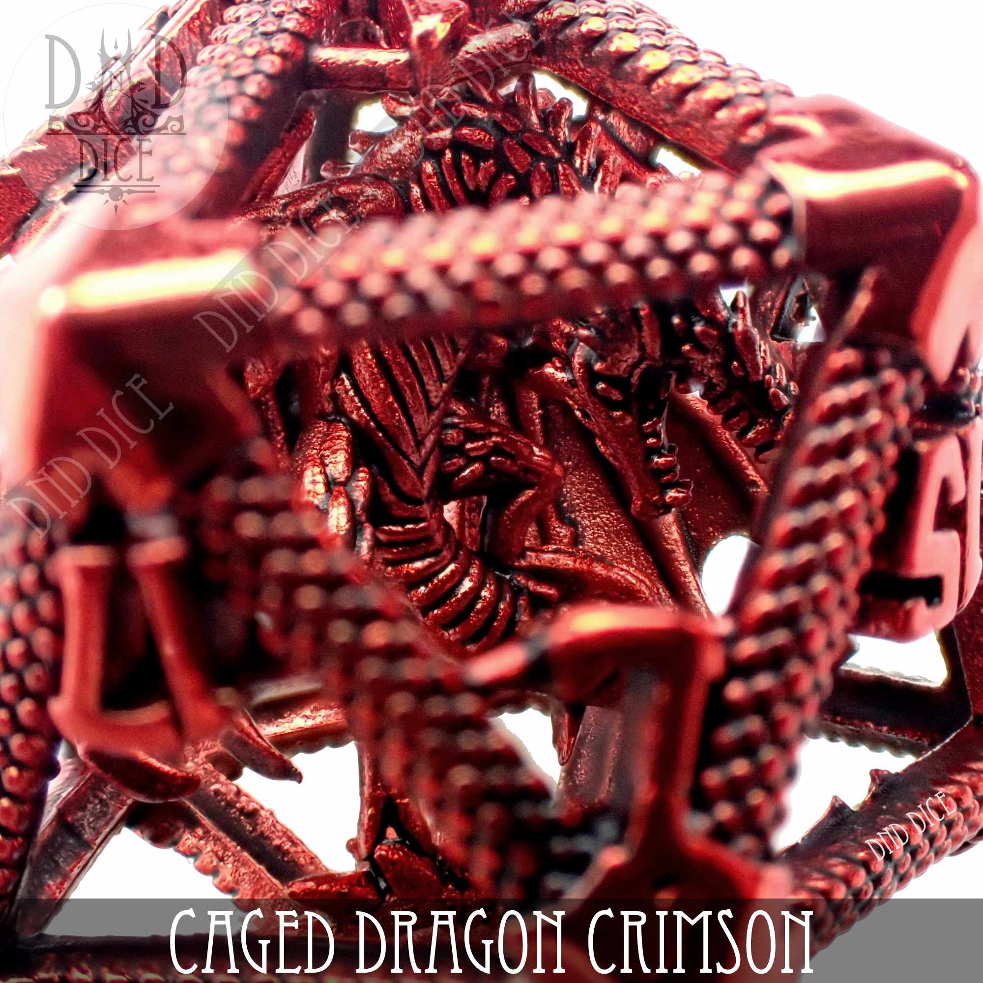 Caged Dragon D20 - 6 Colors