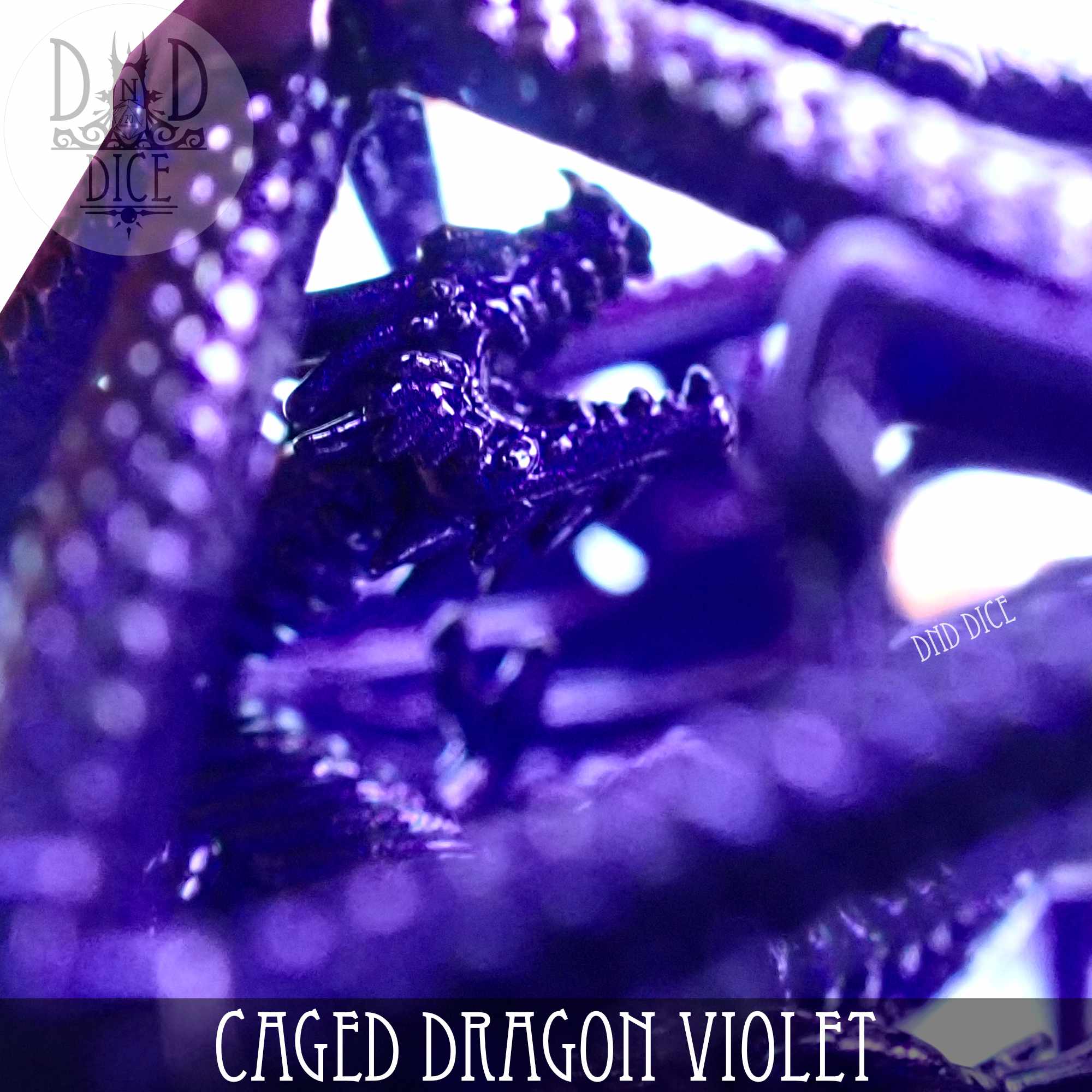 Caged Dragon D20 - 6 Colors