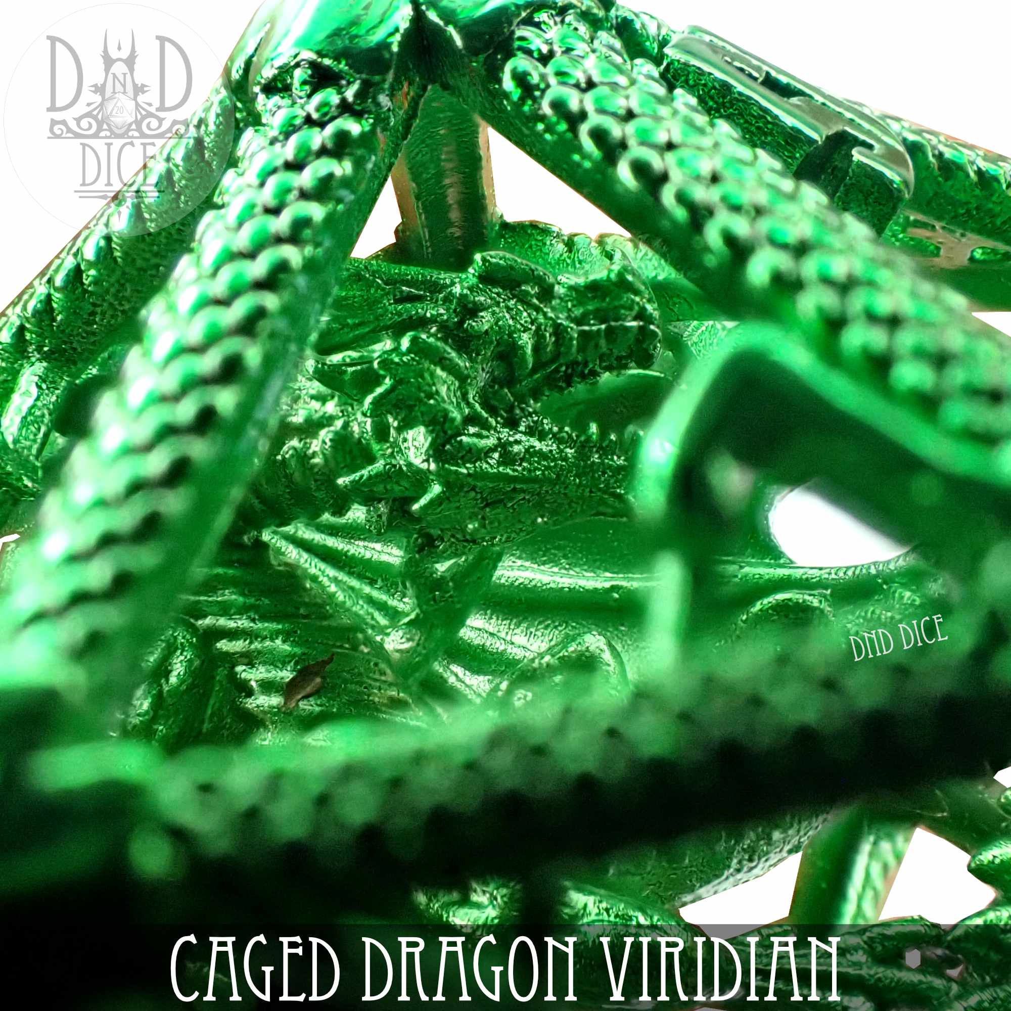 Caged Dragon D20 - 6 Colors