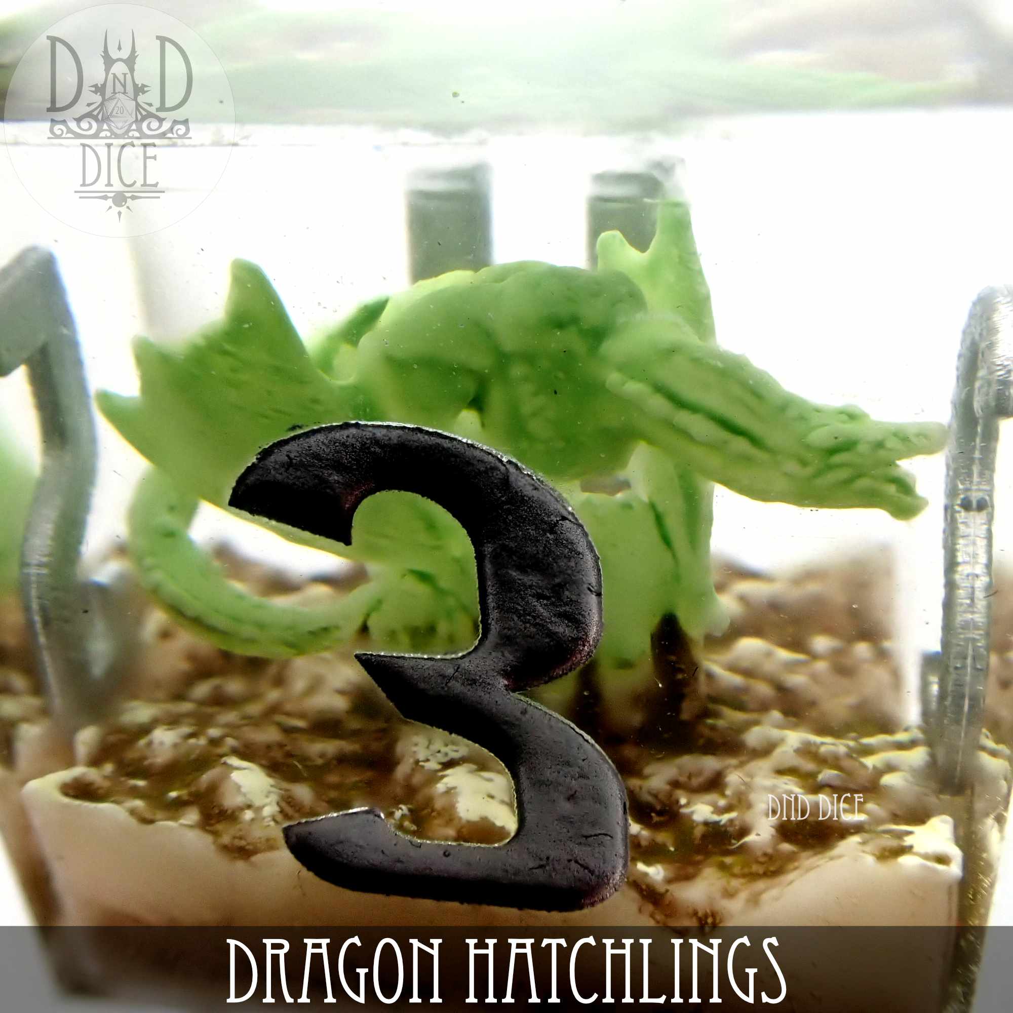 Dragon Hatchlings (Handmade)