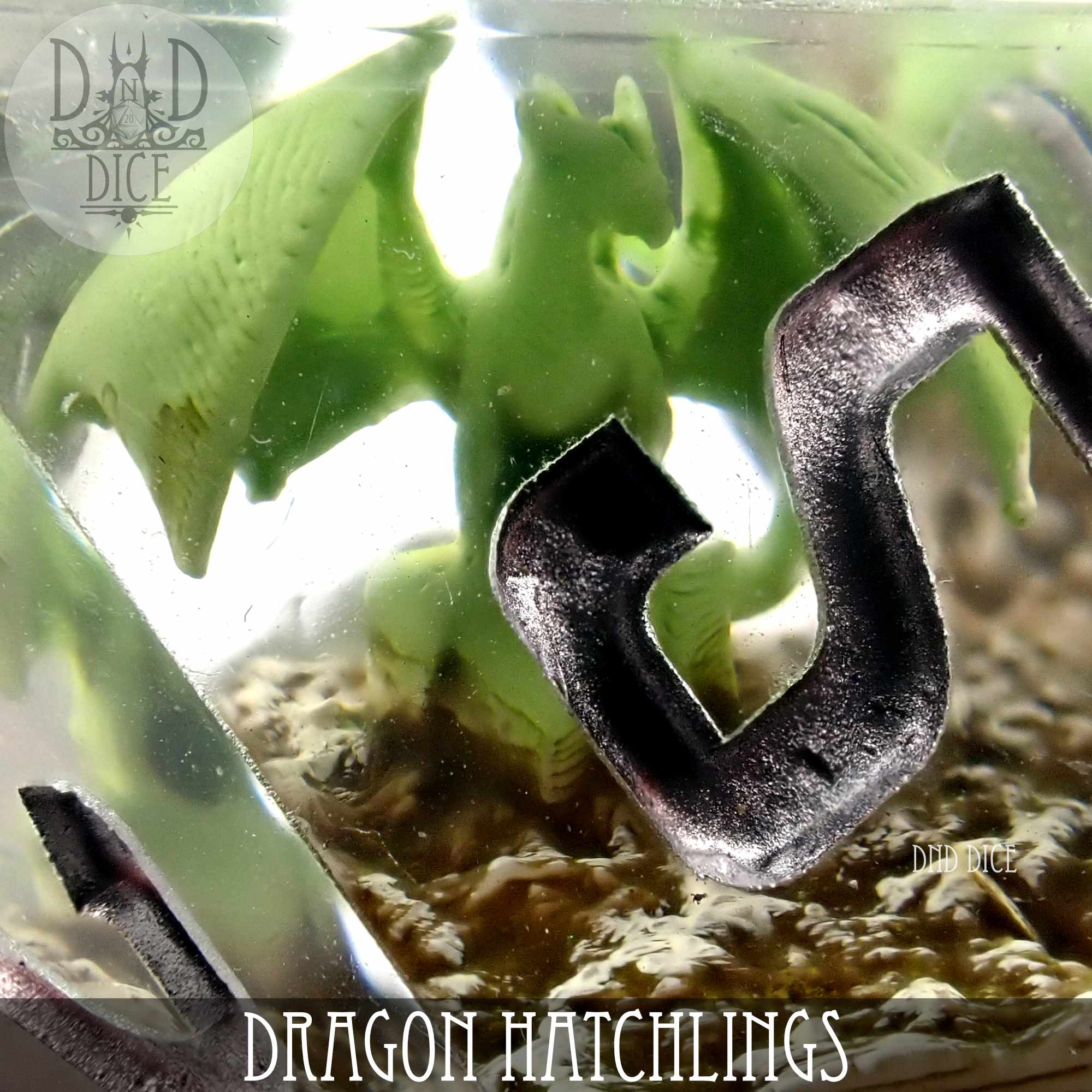 Dragon Hatchlings (Handmade)