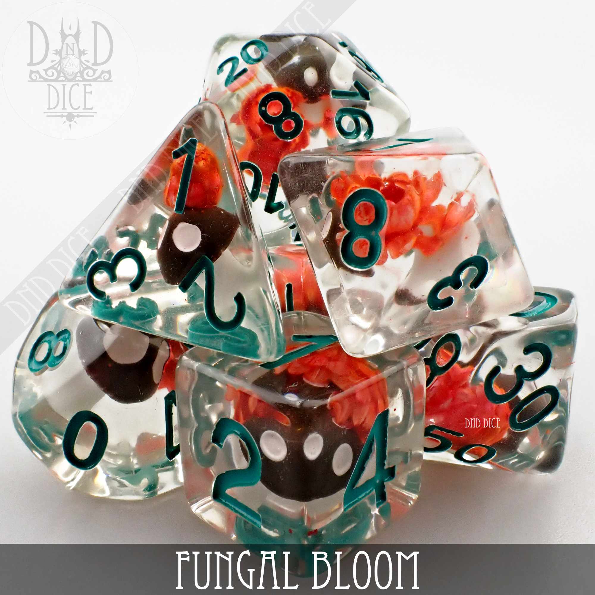 Fungal Bloom